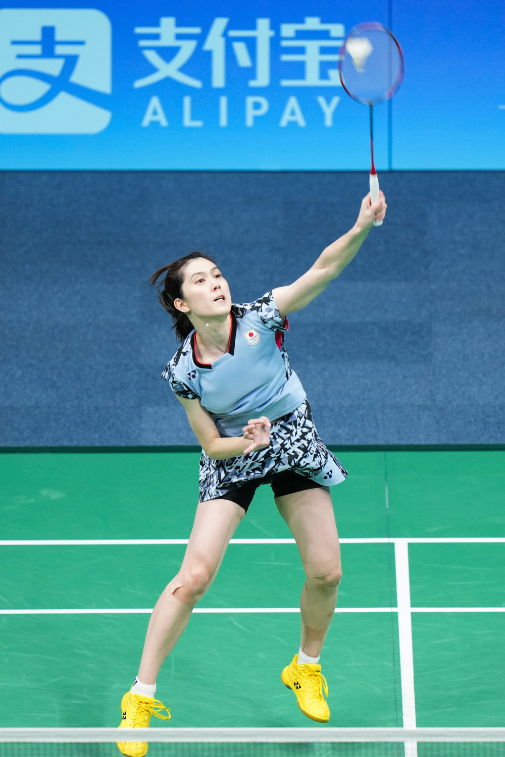 育界为之振 育界为之振