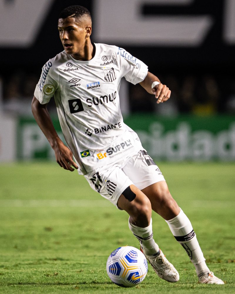 团队协作和 团队协作和