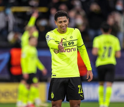 法国核心球 法国核心球